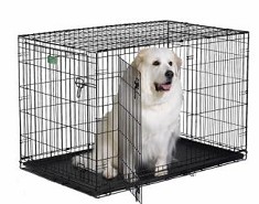 Transporting dog in kennel